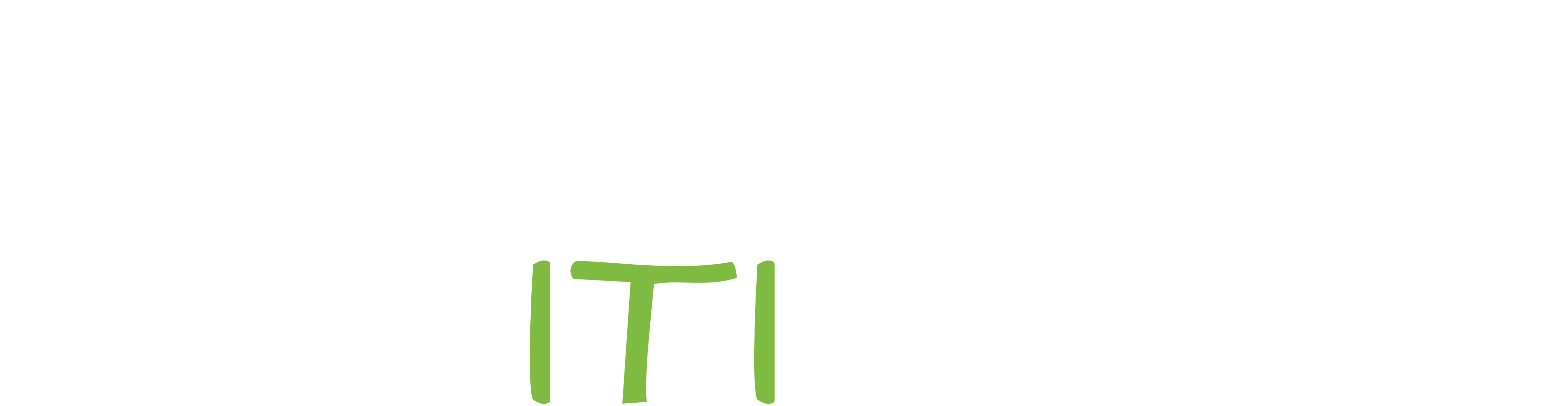 cITIcar Logo